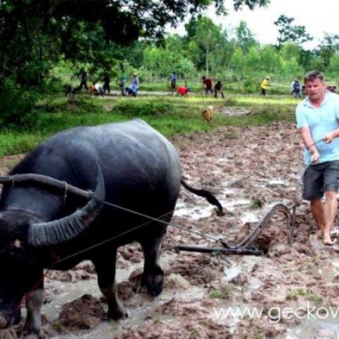 Thailand villa rental photos