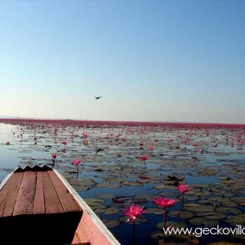 Thailand villa rental photos