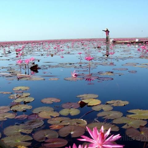 boat trip from green gecko