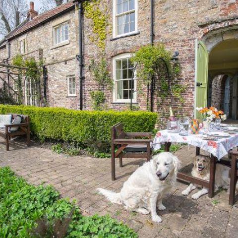 1 or 2 well-mannered dogs welcome at Garden Cottage, Richmond at no extra cost