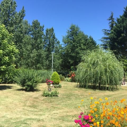 Your garden at Gone Fishin