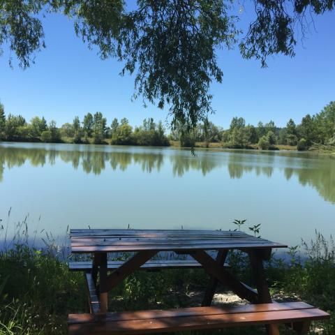 Carp Fishing at Gone Fishin is free