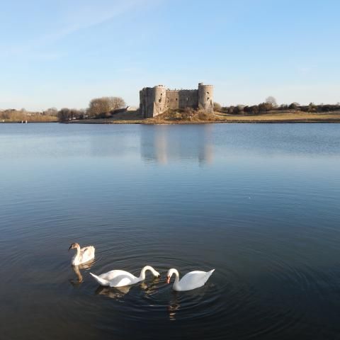 Carew Castle