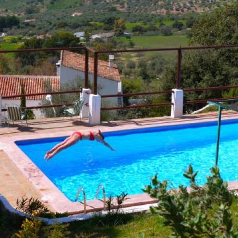 Large private swimming pool