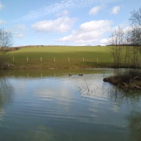 Guests are welcome to fish on our lake, its a nice spot to relax on a sunny afternoon