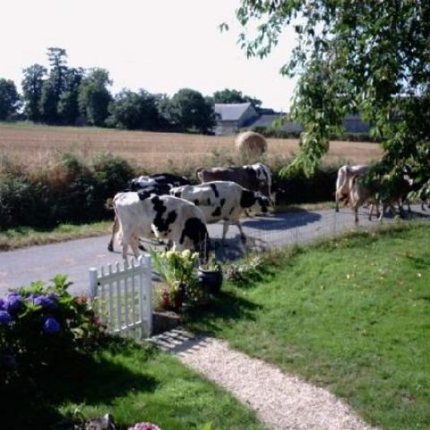 La Belle Maison, set in a tranquil rural location