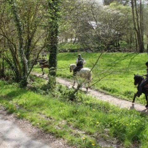 La Belle Maison, join a pony trek in Loudeac Forest