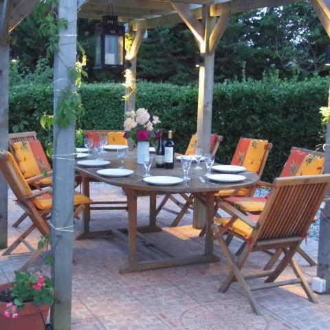 The Pergola with trumpet vines to give shade
