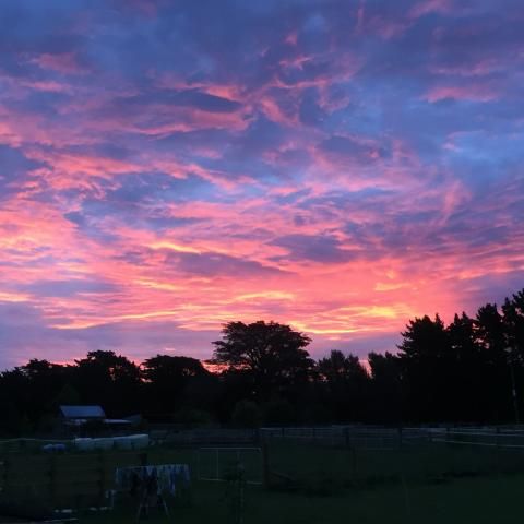 The Wairarapa sunsets