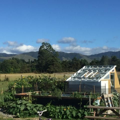 Looking across to the Tararuas